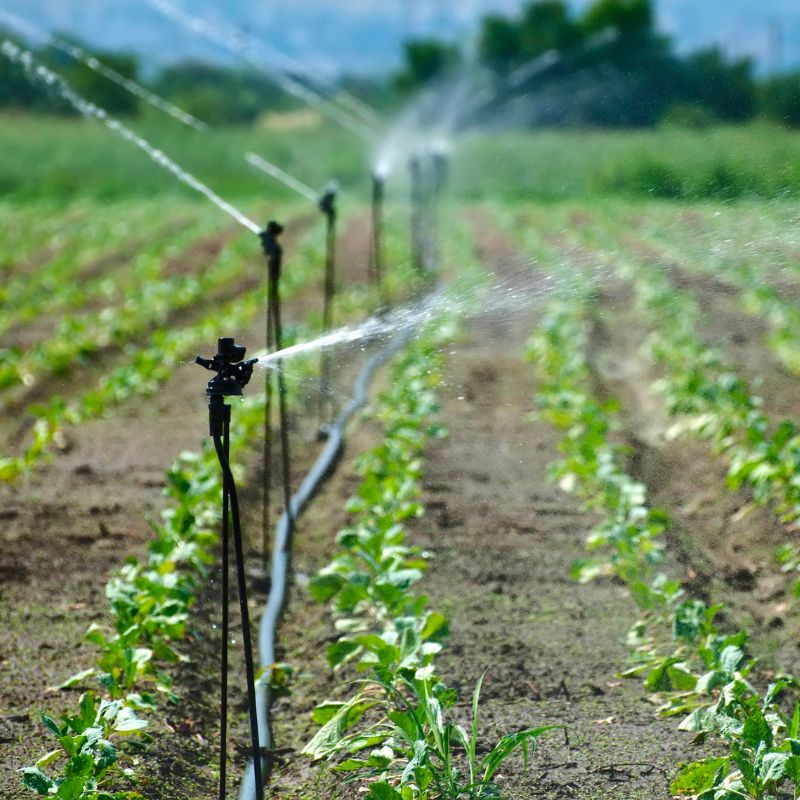hydraulic irrigation